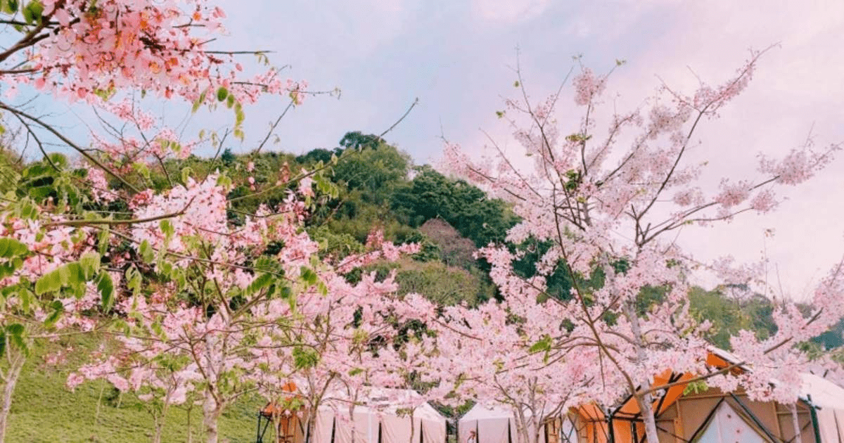遠山望月溫泉風呂露營區｜夜宿在群山之間，在山裡泡湯、在星空下入眠