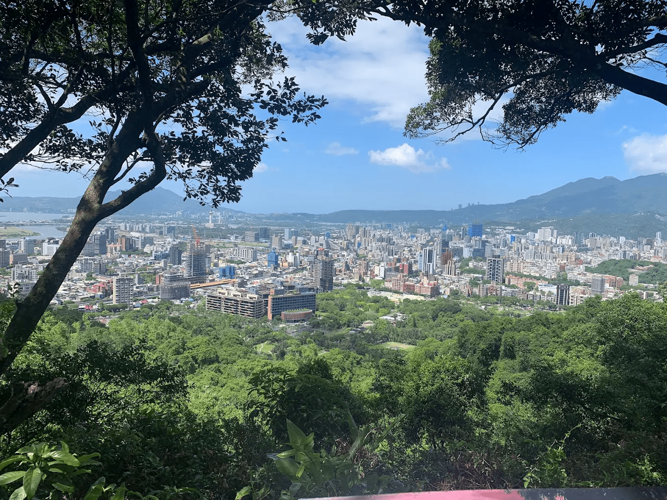 劍潭山親山步道｜捷運就能到！台北市區最親民的登山路線，俯瞰松山機場與台北夜景超療癒