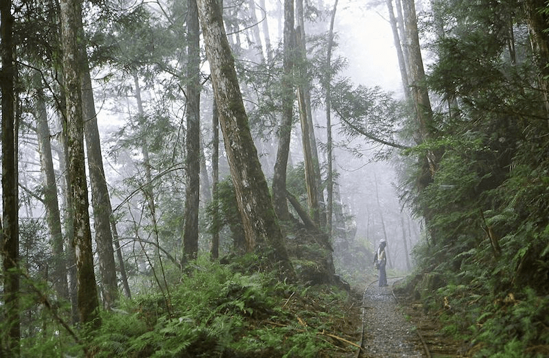 沿著冬山河散步,沿著心的方向前進,逃進宜蘭的溫柔,把日子過慢一點