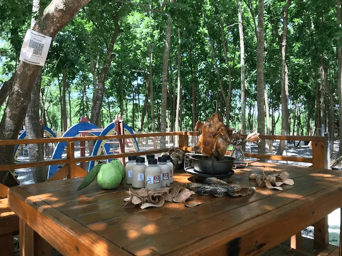 把夜晚留給營火，帶你收藏山光海色的每一夜，看見不一樣的高雄露營地