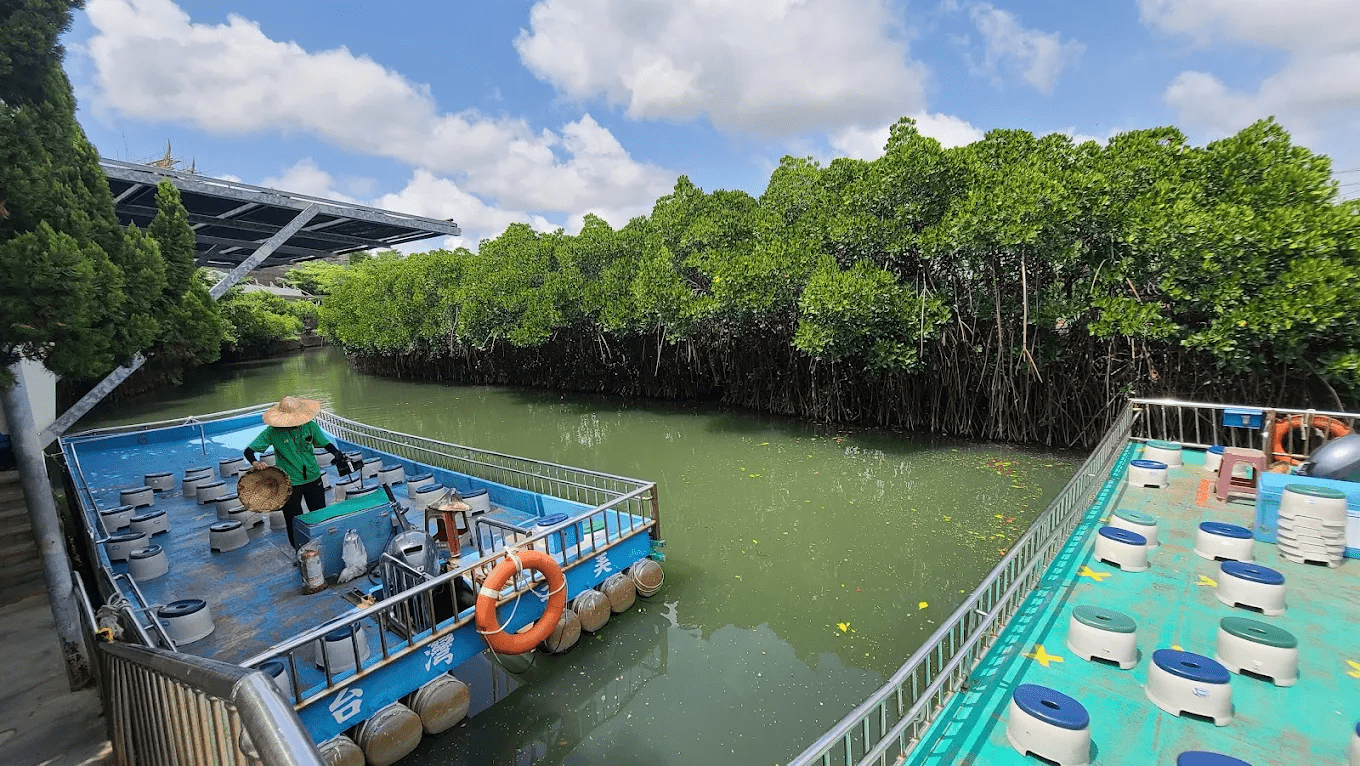 🌿 台版亞馬遜就在台南！四草綠色隧道｜紅樹林水上秘境一日輕旅