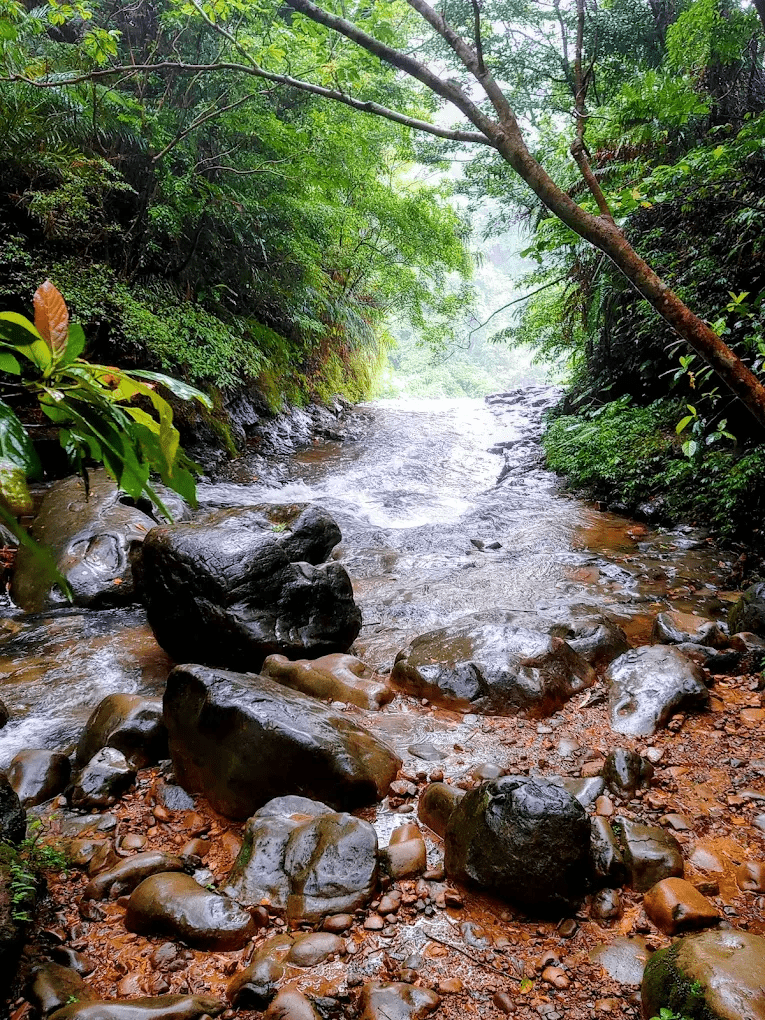 🚆平溪線 × 三貂嶺 × 淡水線
