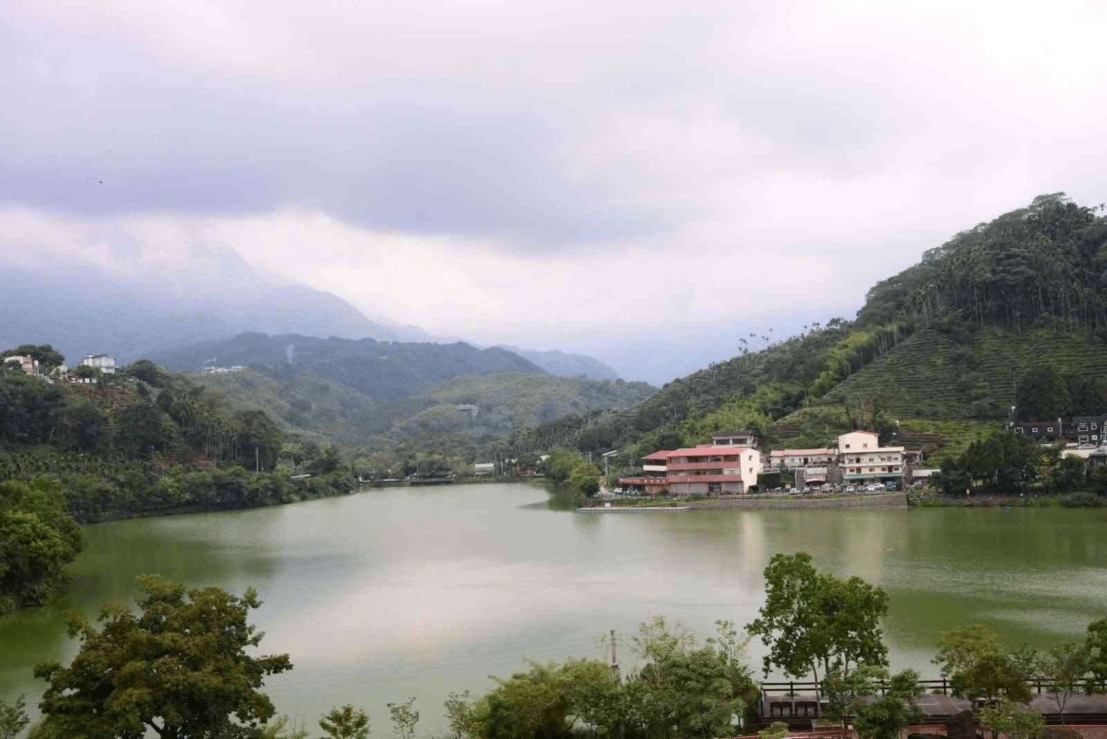 把假日留給溪頭的雲霧步道，讓森林用最自然的方式帶你走進南投山裡的緩慢時光