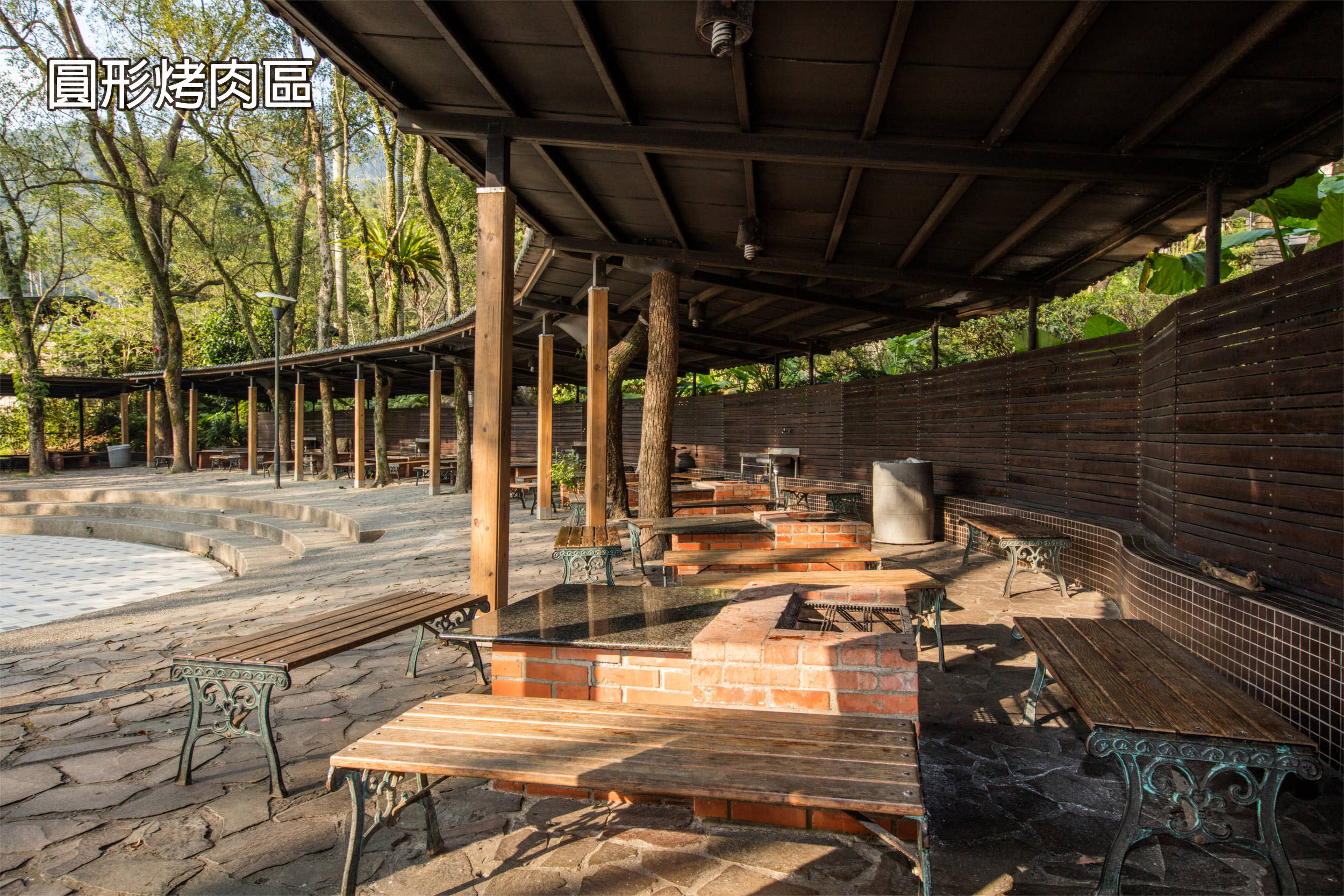 走進新北三峽大板根森林遊樂區的清晨雨林，在步道與溫泉之間慢慢把節奏放下來