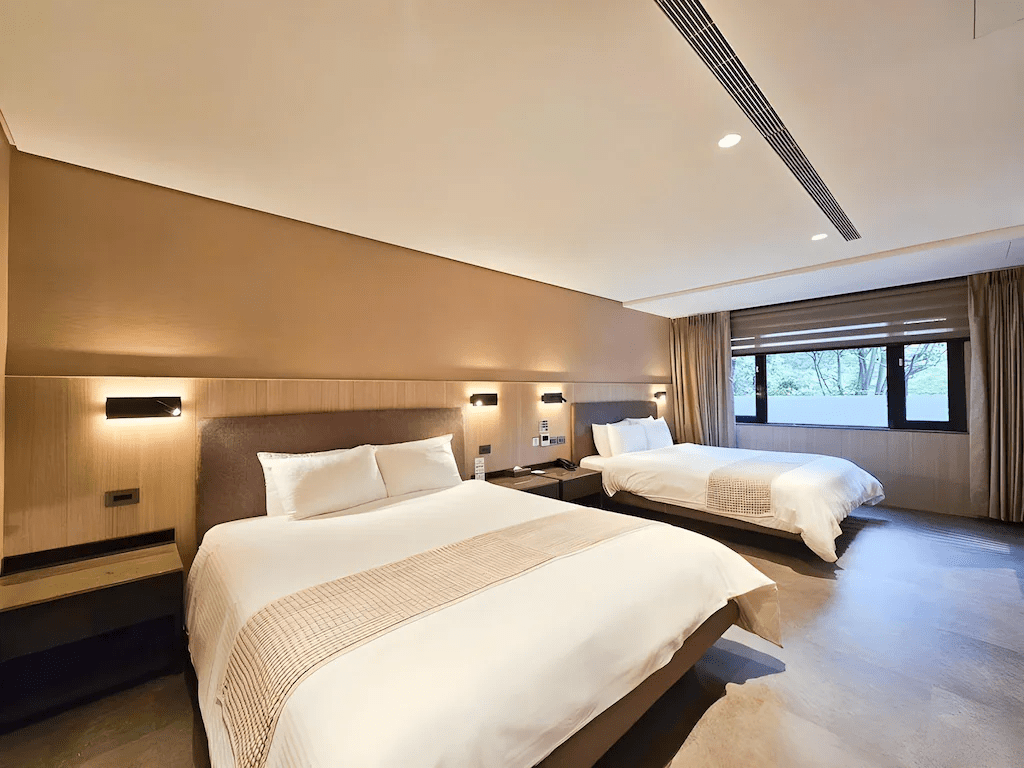 走進新北三峽大板根森林遊樂區的清晨雨林，在步道與溫泉之間慢慢把節奏放下來