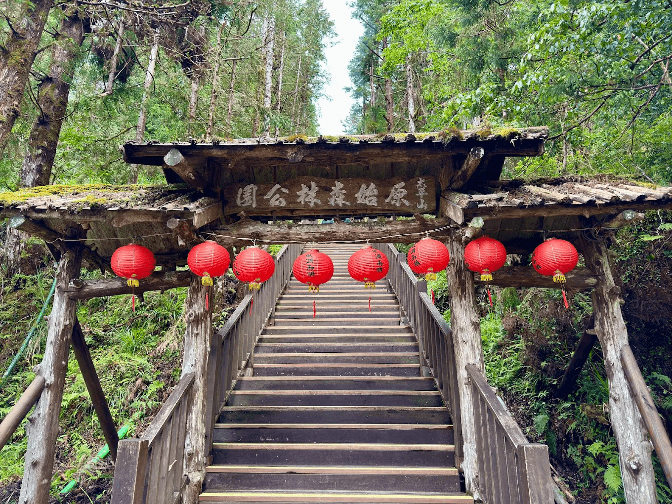 太平山國家森林遊樂區｜走入雲海、山林與溫泉交織的仙境
