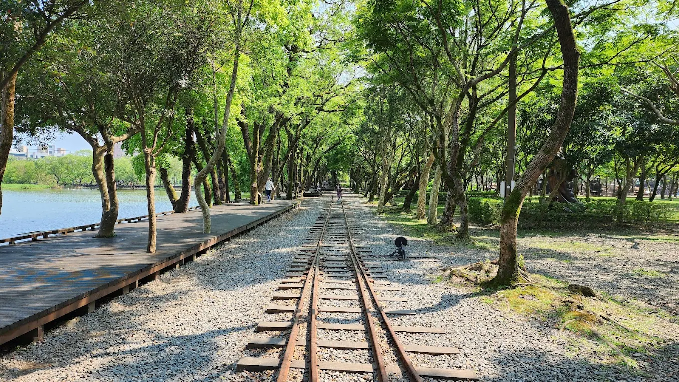 羅東林業文化園區寧靜的湖畔景色,展現出城市綠洲的獨特魅力。