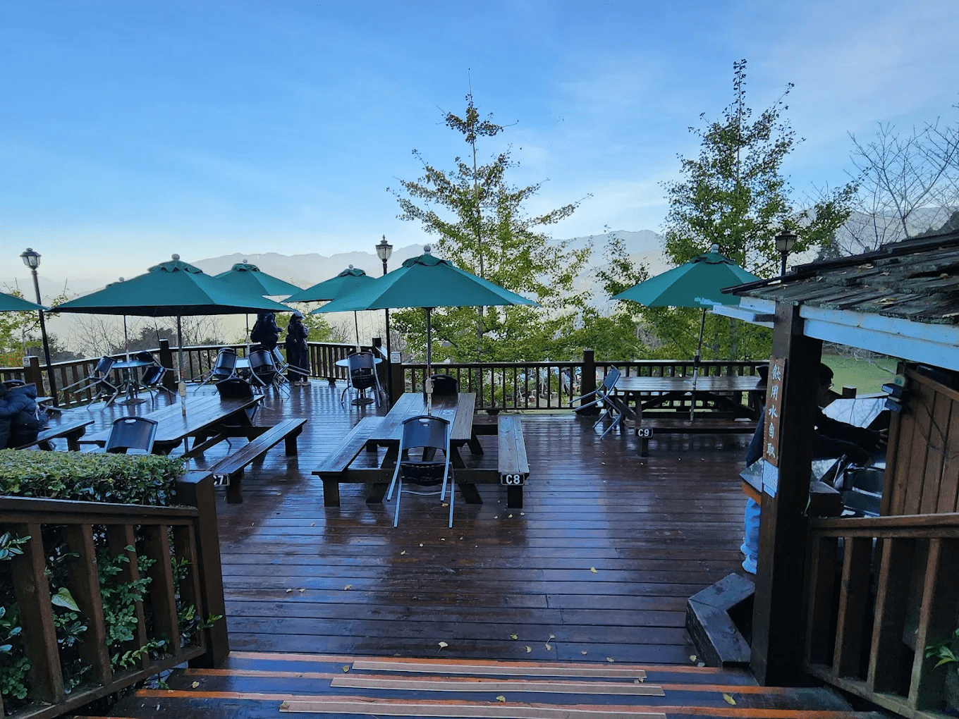 山上人家森林農場｜走進雲霧森林的觀景秘境