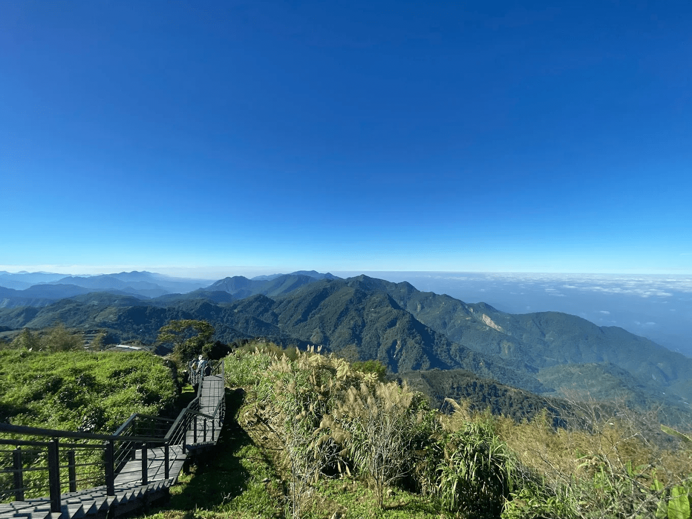 二延平步道｜阿里山日出雲海第一排