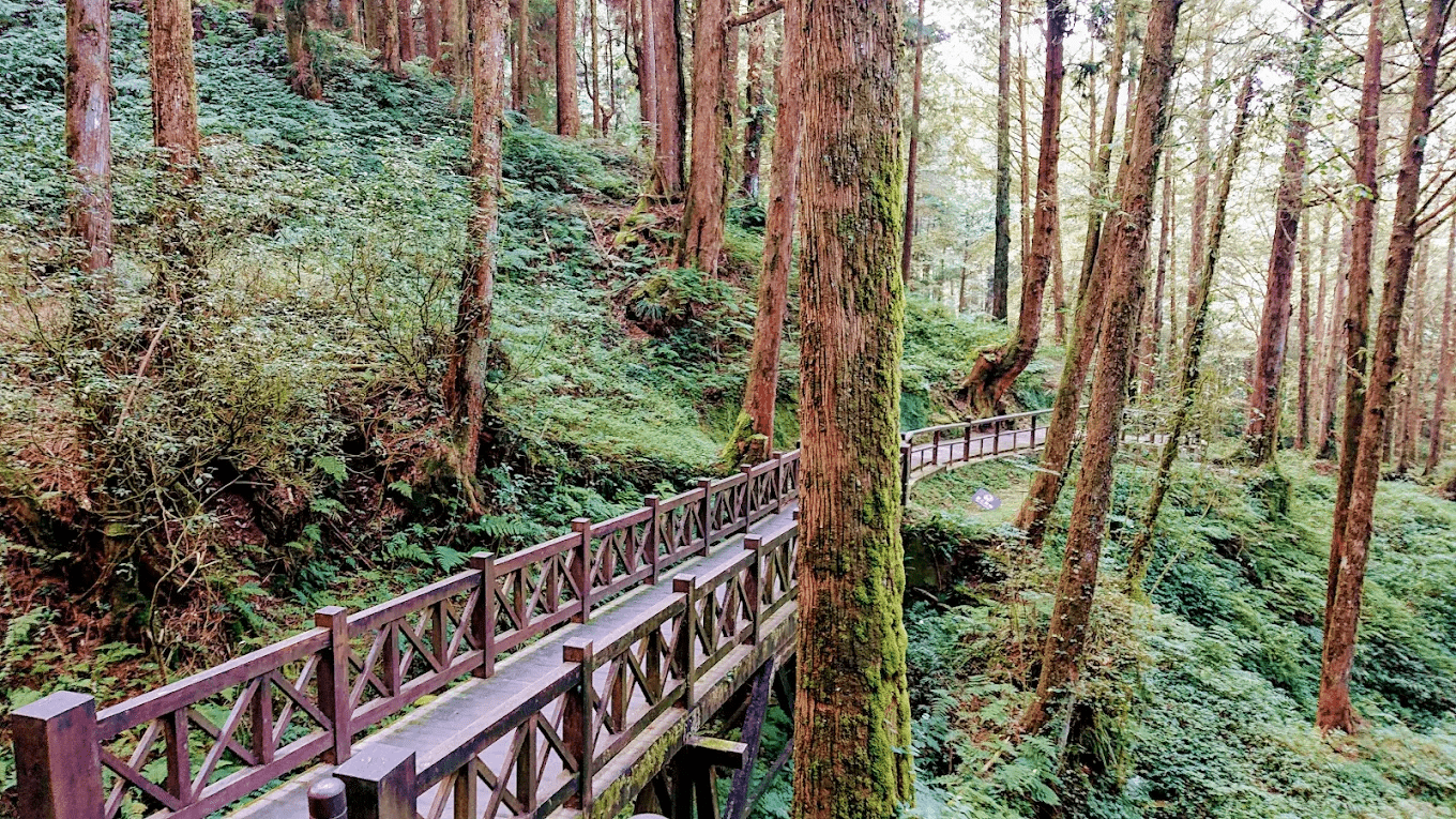 阿里山國家森林遊樂區壯麗山景