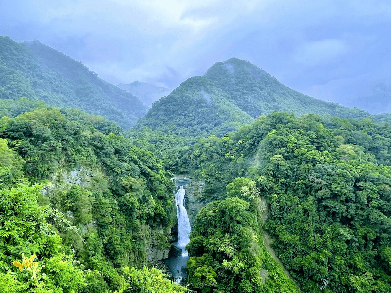 東眼山國家森林遊樂區入口處的綠意盎然，是遊客抵達後的第一印象。