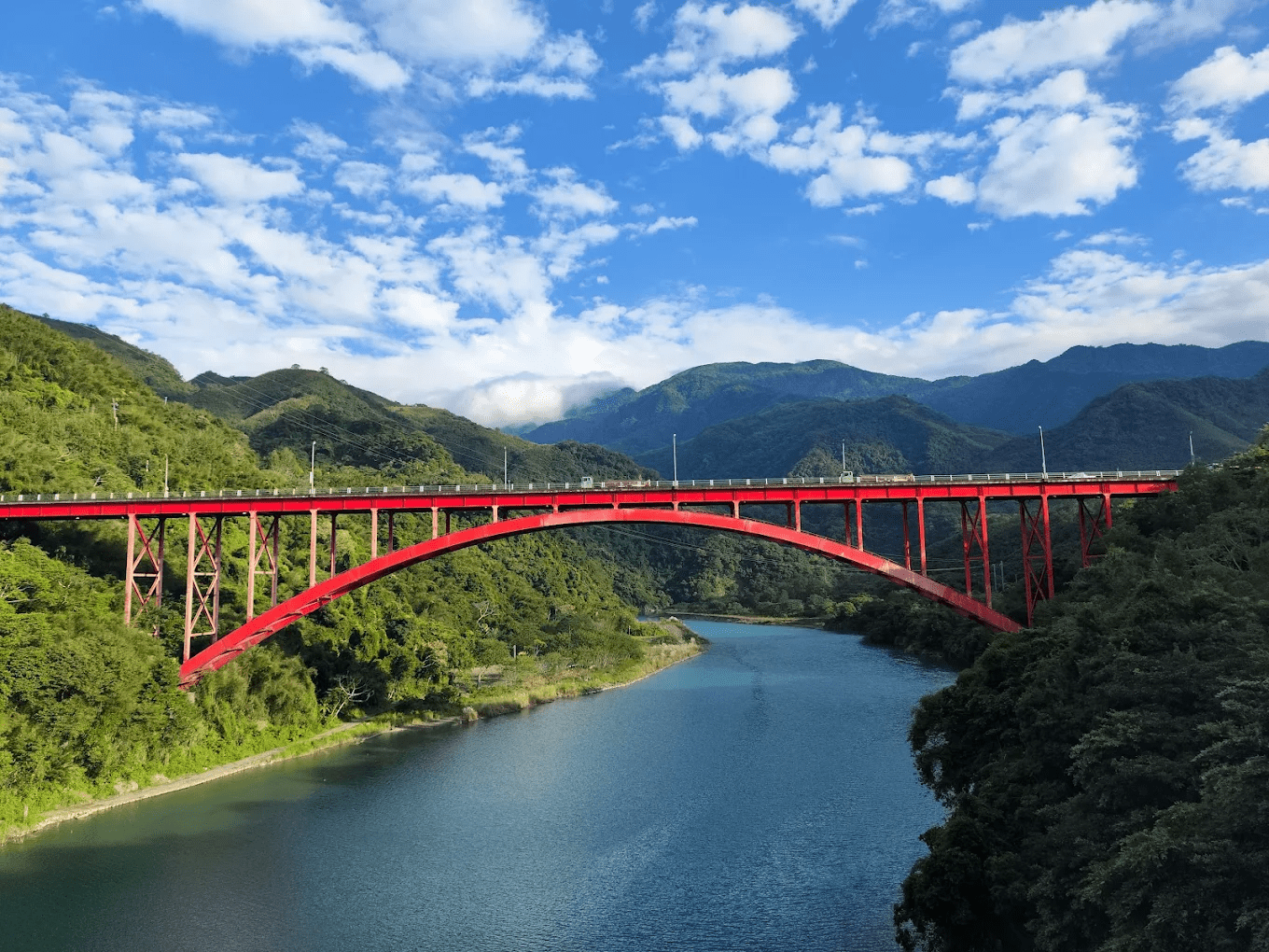 陽光穿透樹梢灑落在步道上，形成光影交錯的迷人畫面。