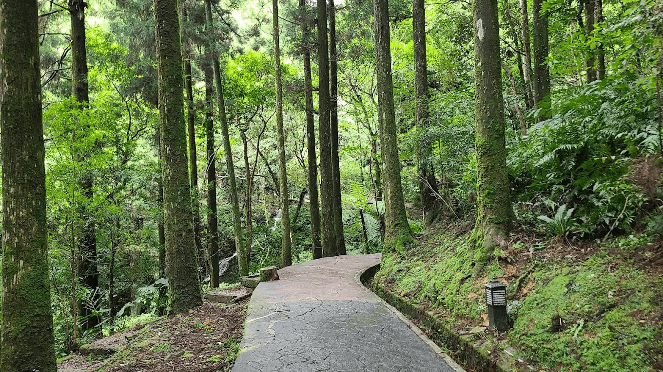 木棧道設計完善，兩旁植被豐富，非常適合親子同遊。