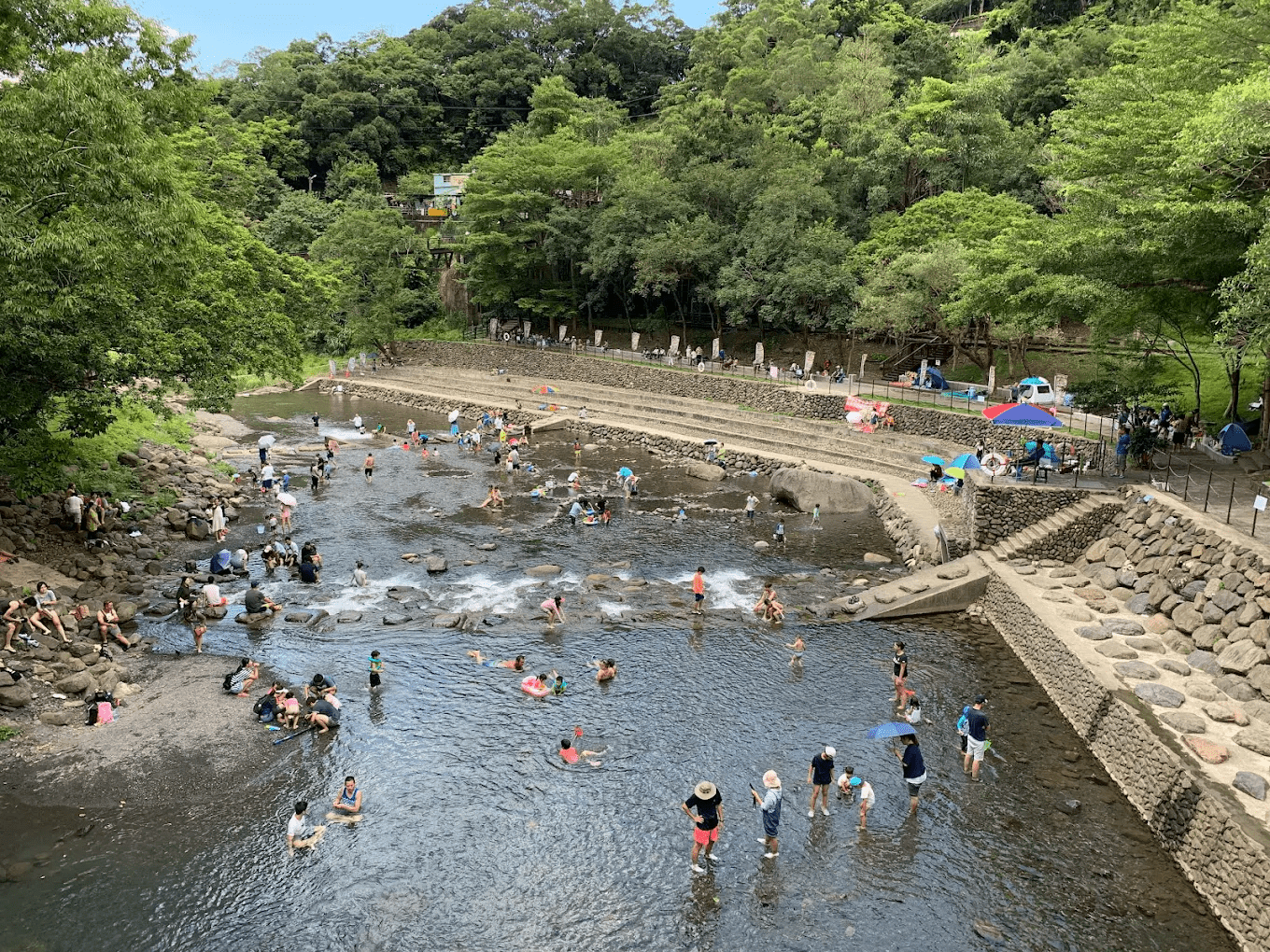 森林中的巨木與豐富的生態系，讓遊客能近距離觀察自然的奧秘。