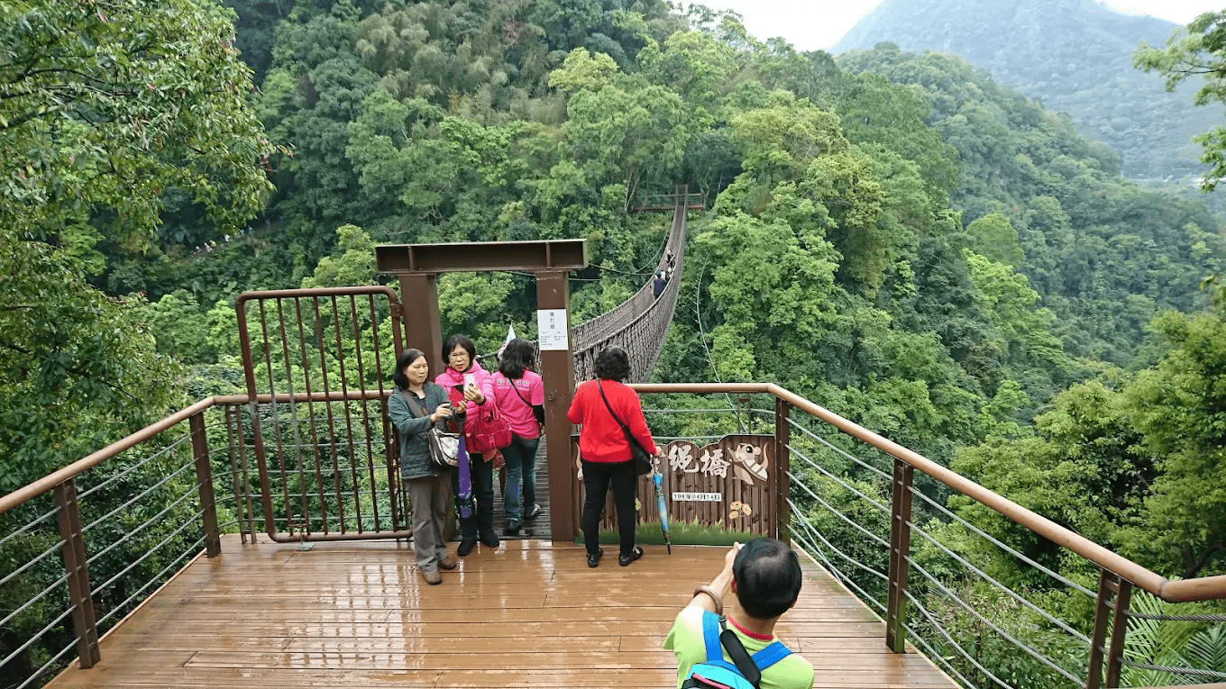 遊客在森林中拍照留念，捕捉每一刻的光影變化。