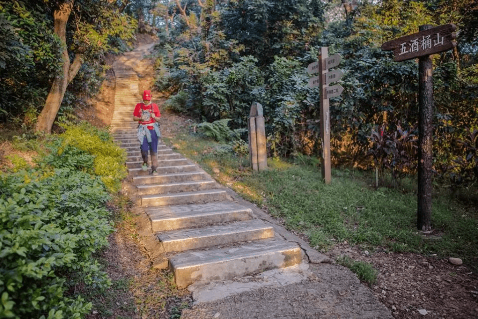 步道平緩好走，適合親子同遊