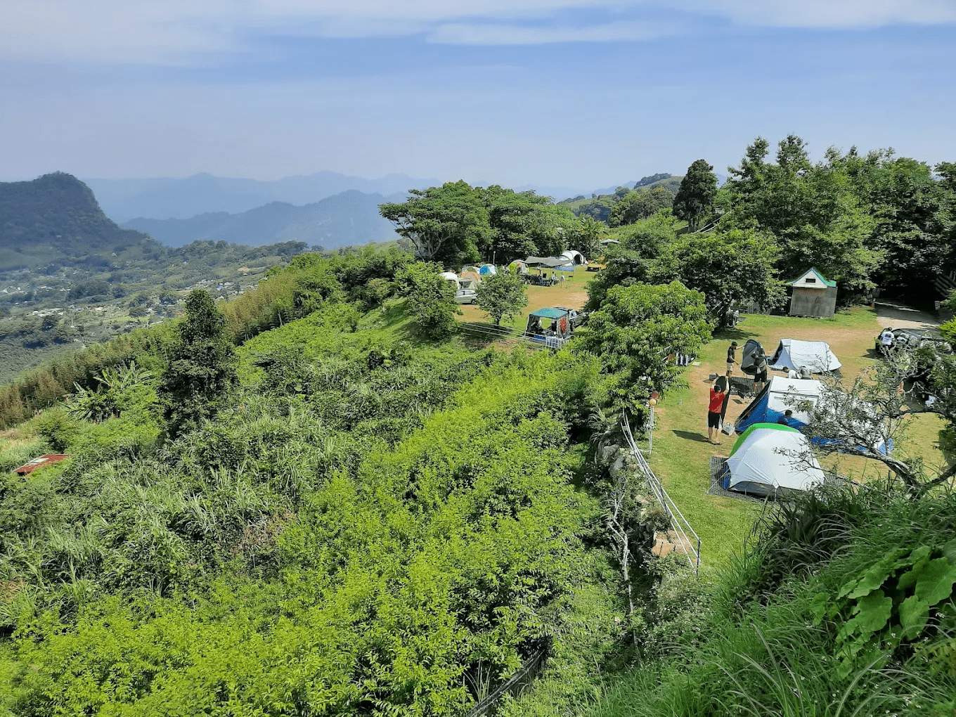 泰安竹林秘境｜苗栗山裡最像電影場景的森系步道
