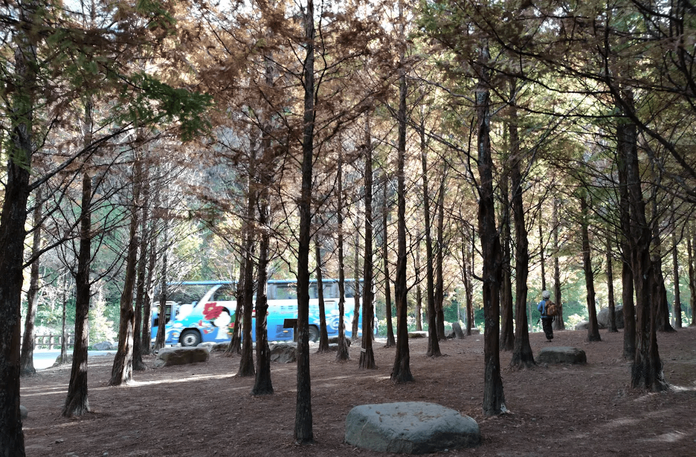 杉林溪花卉中心｜一年四季都美到不行的高山花園
