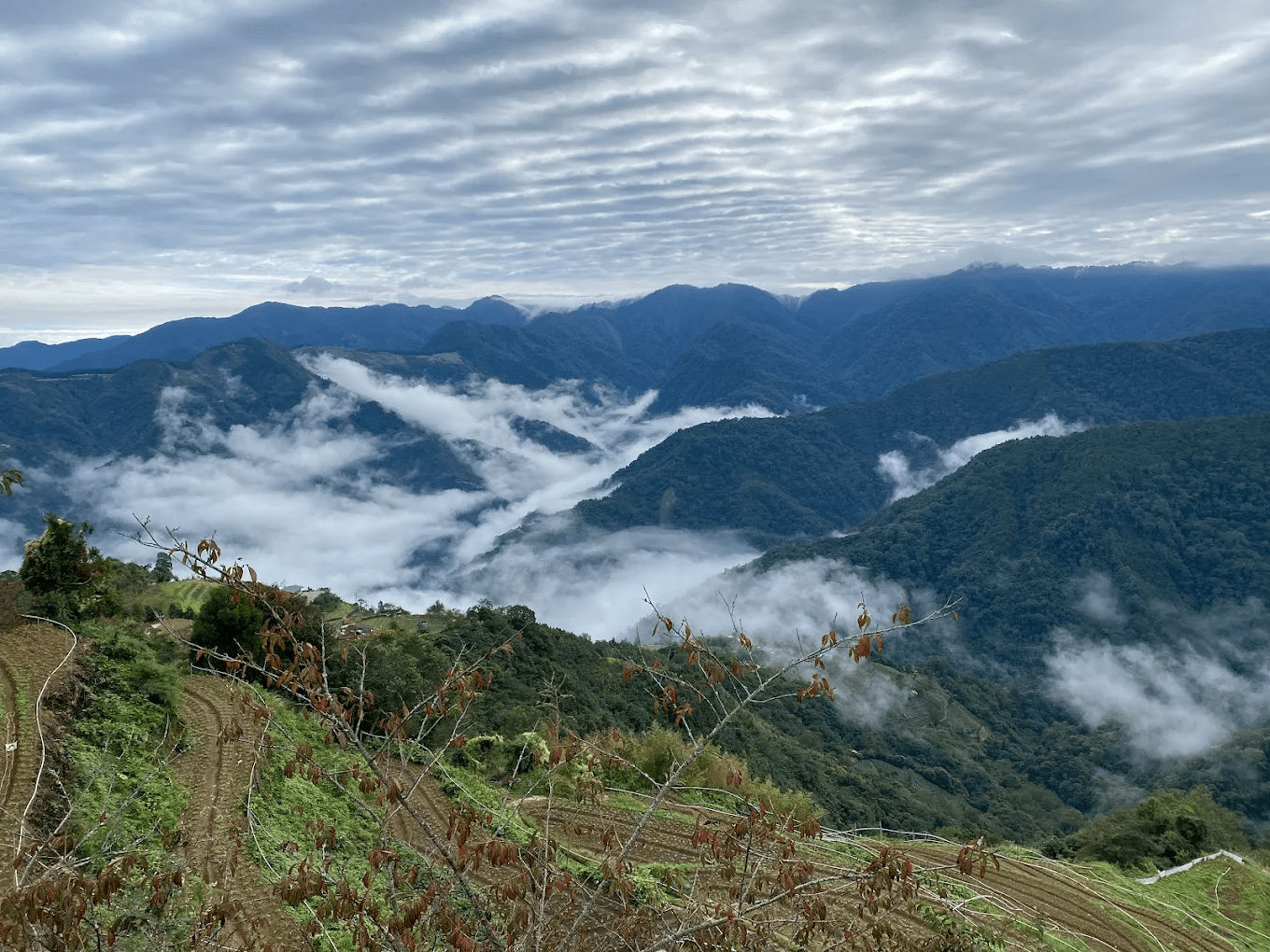 雪霸休閒農場｜住進雲海與山脈之間的高山秘境
