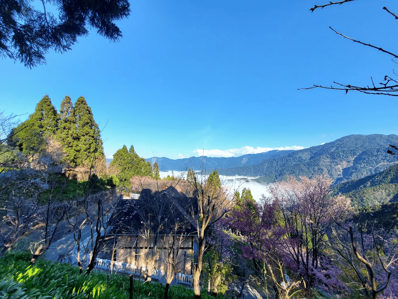 農場周邊翠綠的山脈景緻