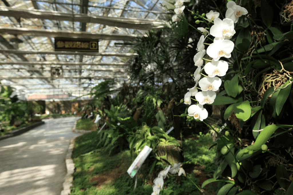 在礁溪的風景裡散步，離開城市喘口氣，五個讓旅程變得柔軟的美好角落