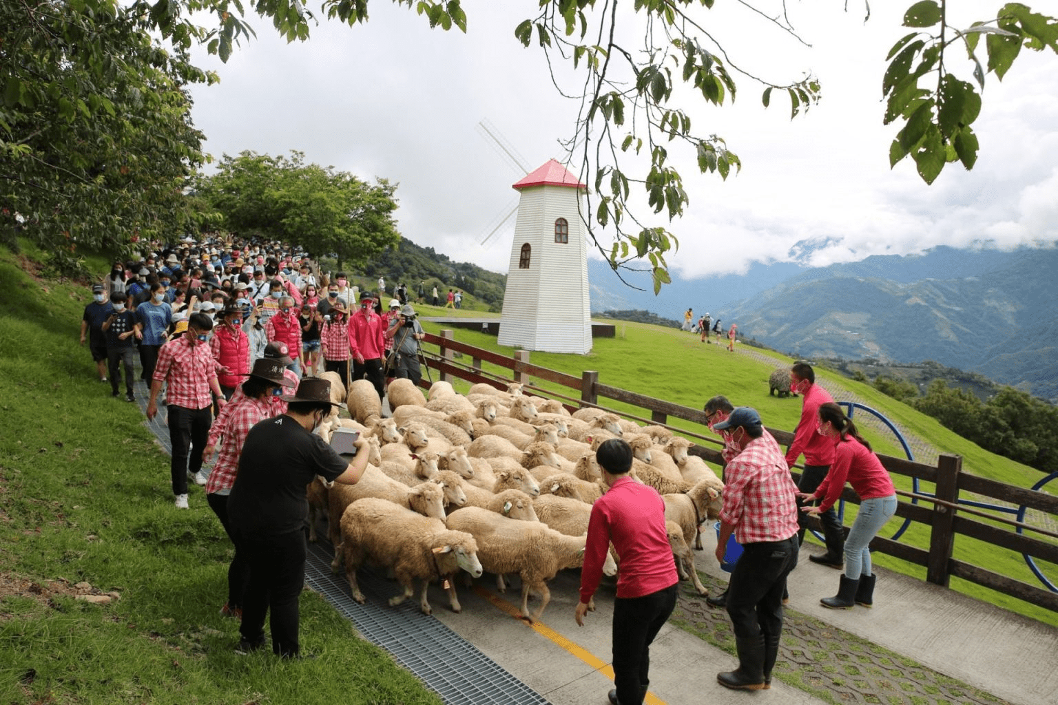 在南投清境遇見雲霧流動的早晨風景，住進山腰的雲的故鄉讓旅程默默慢下來