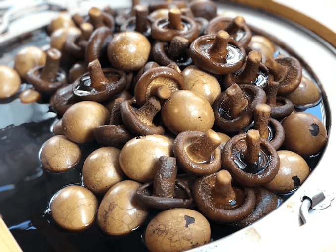 沿著清晨湖面走向日月潭水漾,把旅程放慢在微風與光影交錯的那一刻