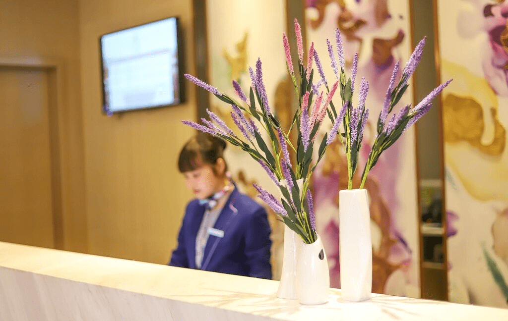 麗楓酒店 · 普寧國際商品城店