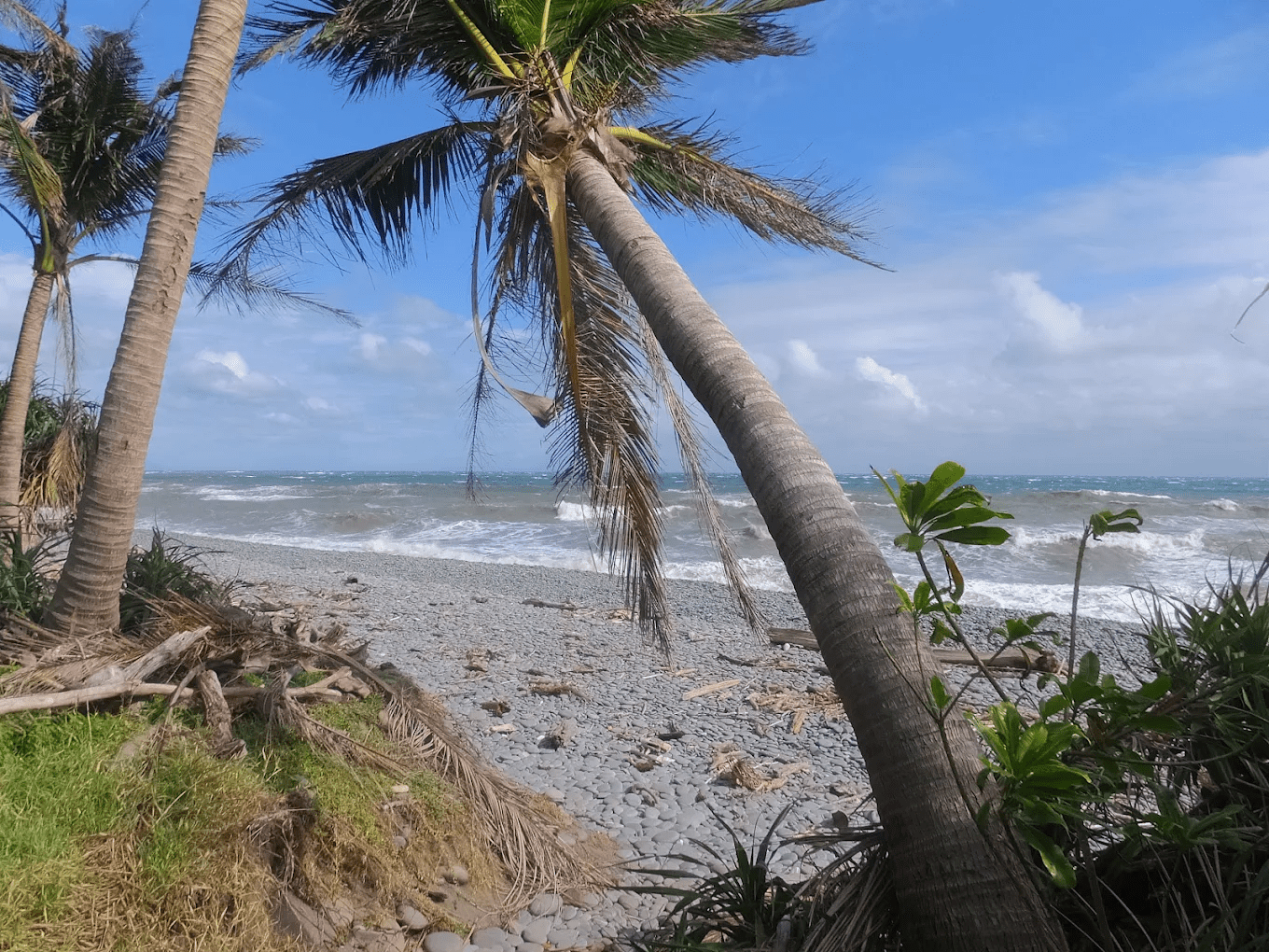 從海到山、從森林到雲端｜一次走進台灣最經典的四條登山步道（完整版）