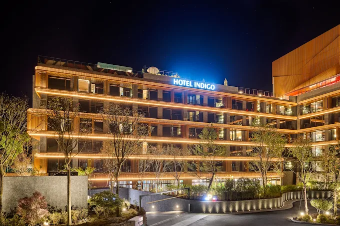 阿里山英迪格酒店｜一夜住進雲端，在山的懷抱裡，遇見山巒與溫度