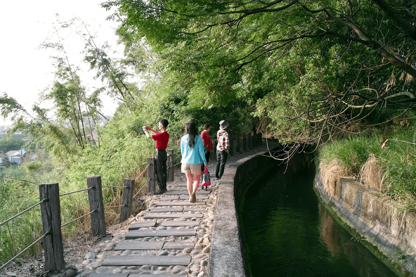 台中步道推薦｜大坑步道、知高圳、竹坑南寮5 條親子友善、城市就能散步到的療癒山林路線