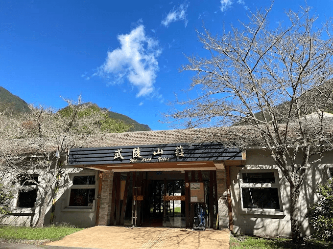 在日光穿過雲層的那一刻走進武陵農場，用一趟緩慢而深呼吸的旅遊攻略迎接山景