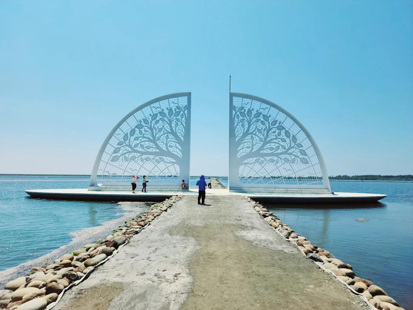 🌿生命之樹｜台南將軍海岸最夢幻的白色地景藝術