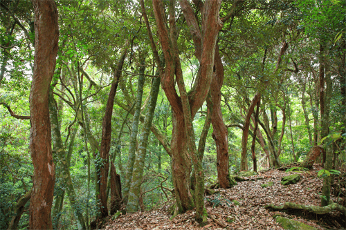 沿著蜿蜒山路抵達谷關溫泉，在初冬的涼意中泡出旅程裡最輕盈的暖度