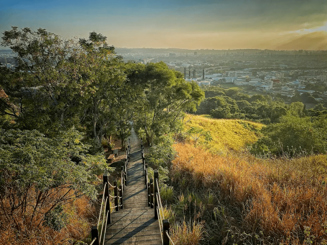 台中步道推薦｜5條必走森林系路線：大坑步道、知高圳、竹坑南寮一篇逛完（親子友善、入門登山）