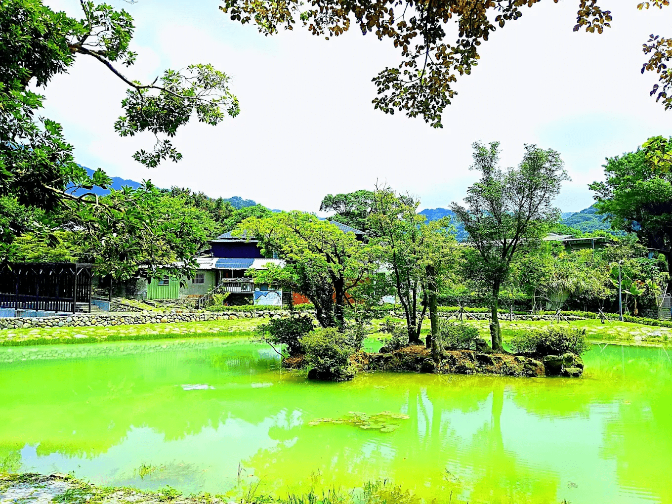 天母古道親山步道｜台北市區最療癒的綠蔭古道：親子友善、交通方便、輕鬆入門