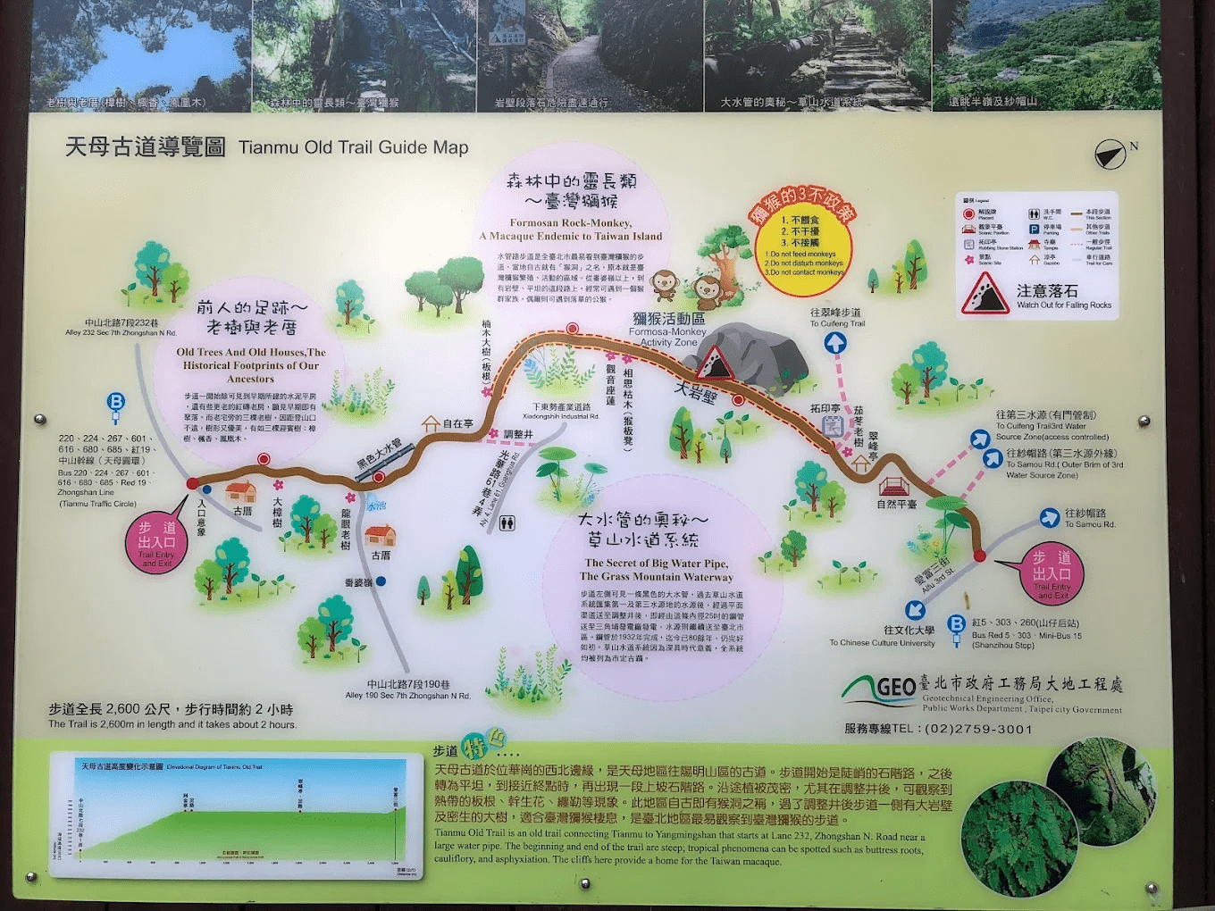 天母古道鬱鬱蔥蔥的竹林隧道