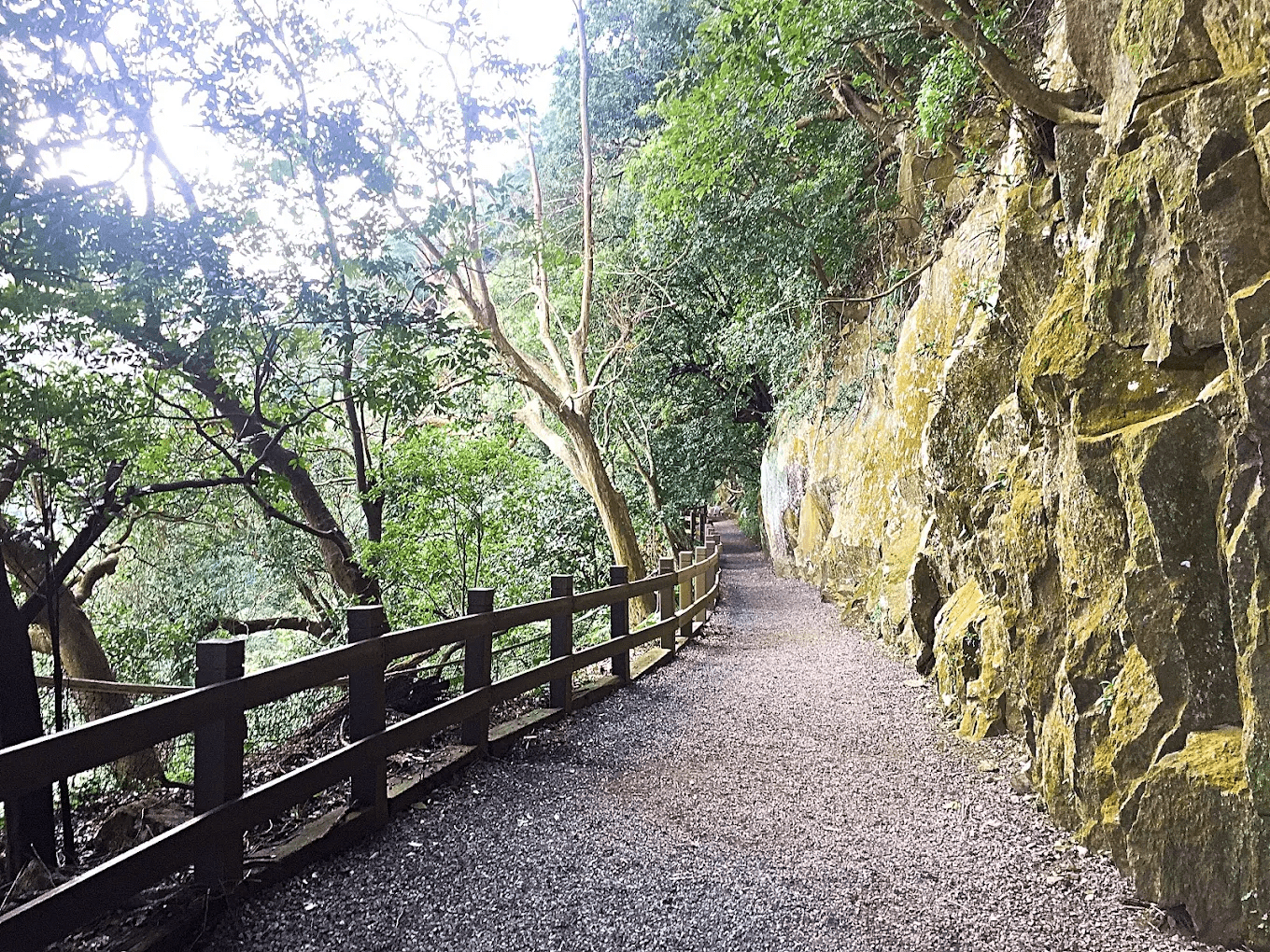 天母古道路徑平整適合全家出遊