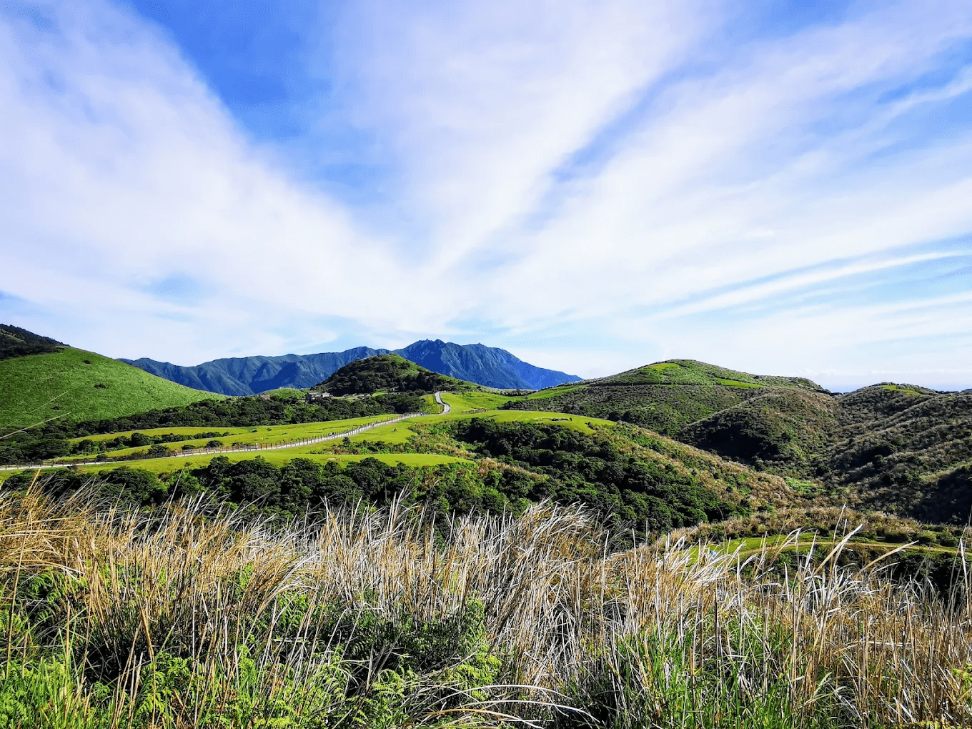 由天母古道可串接之擎天崗美麗草原