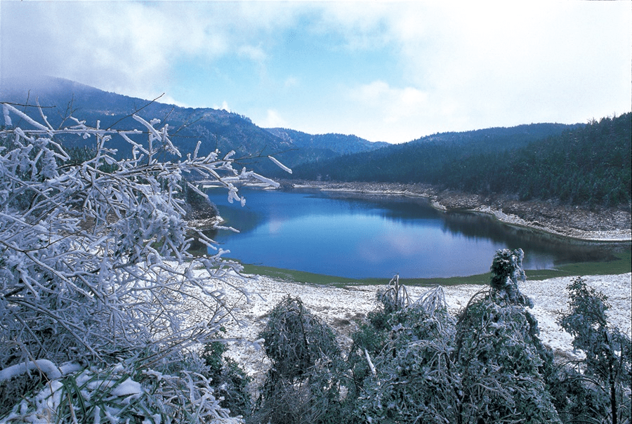 從湖面倒影到雲海翻湧，當雲霧推開森林，太平山帶你讀懂一座山的四季