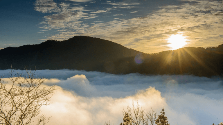 從湖面倒影到雲海翻湧，當雲霧推開森林，太平山帶你讀懂一座山的四季