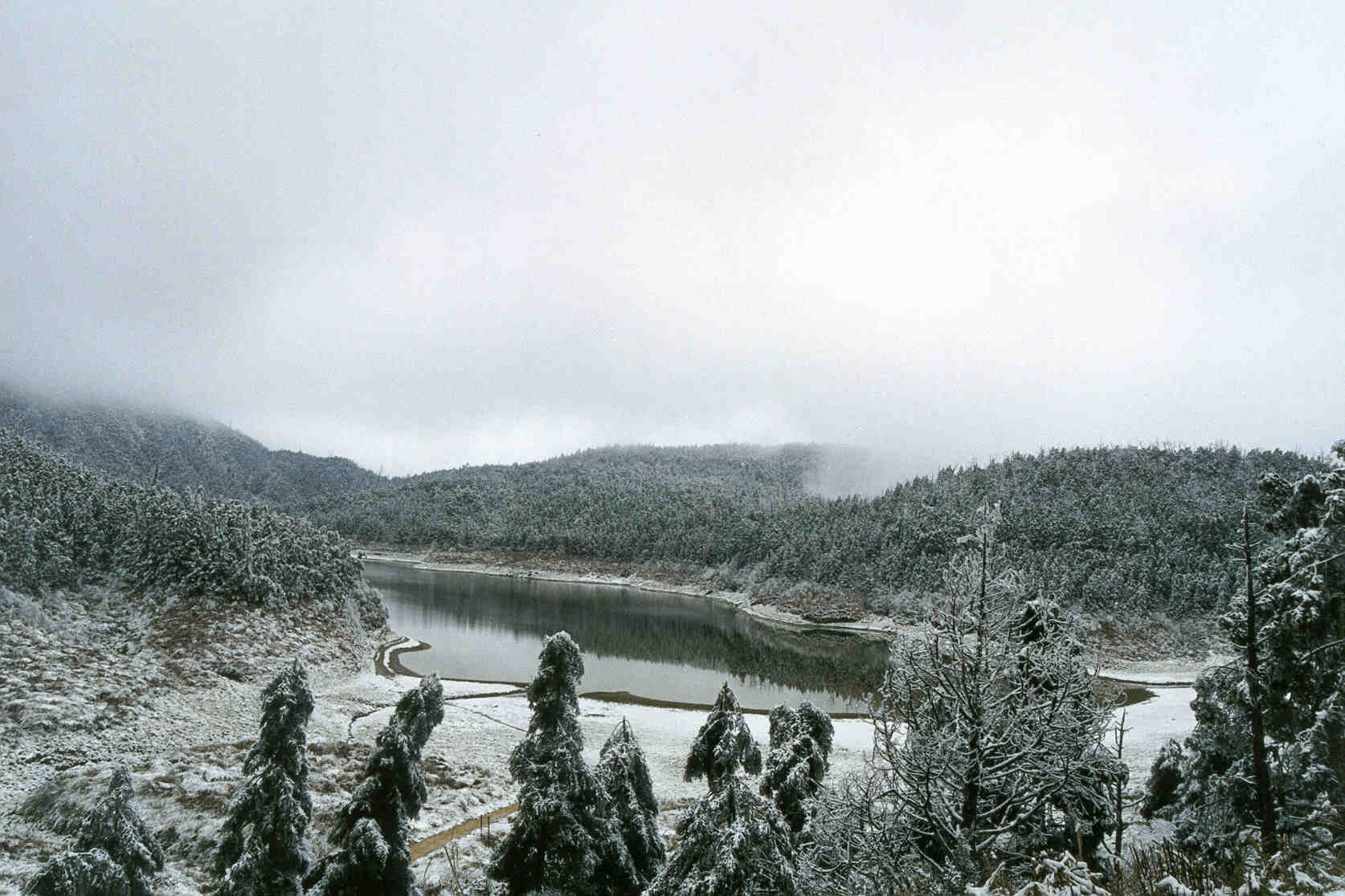 從湖面倒影到雲海翻湧，當雲霧推開森林，太平山帶你讀懂一座山的四季