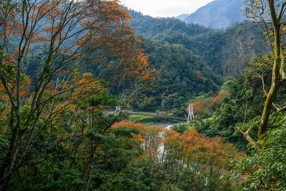 太平山雲海與湖泊景觀，光影與雲霧交織出多層次的自然畫作