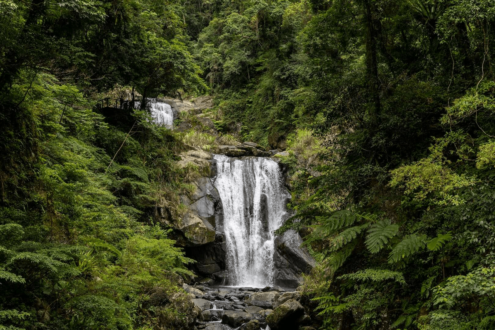 走進瀑布與山林之間，內洞森林遊樂區一種很慢的美，把步伐放慢剛剛好