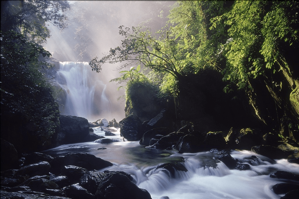 走進瀑布與山林之間，內洞森林遊樂區一種很慢的美，把步伐放慢剛剛好