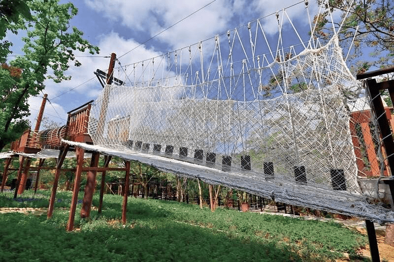 沿著台中大坑一號登山步道緩緩向上，在清晨微光裡看見城市與山風一起展開的畫面