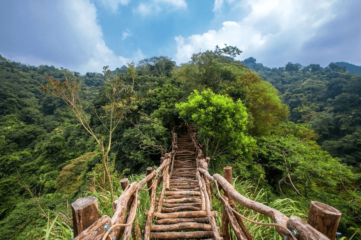 走進台中的山風與陽光，一路沿著步道緩緩上行，把健行的節奏留給身體與心