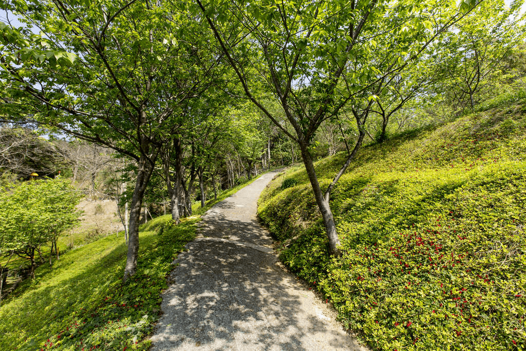 走進台中的山風與陽光，一路沿著步道緩緩上行，把健行的節奏留給身體與心