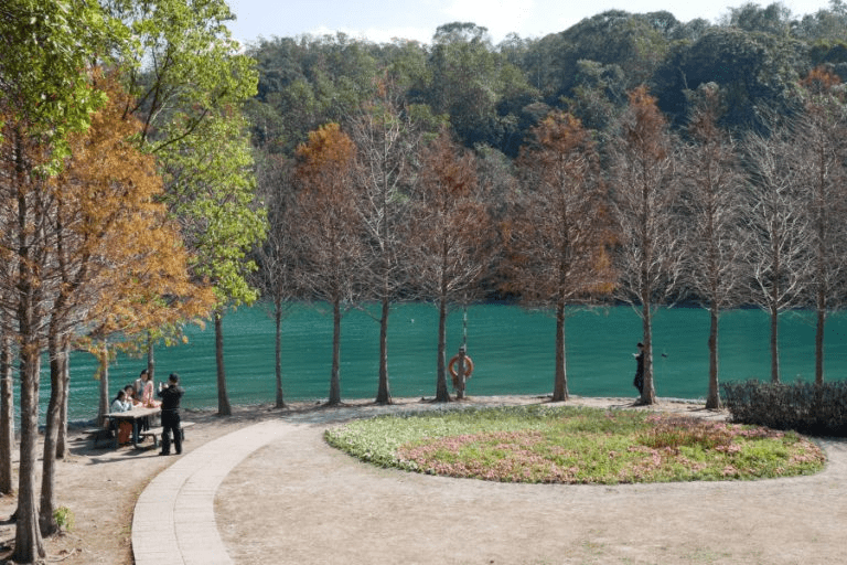 遊客騎著自行車行駛在架設於湖面上的木棧道，享受涼爽的湖風