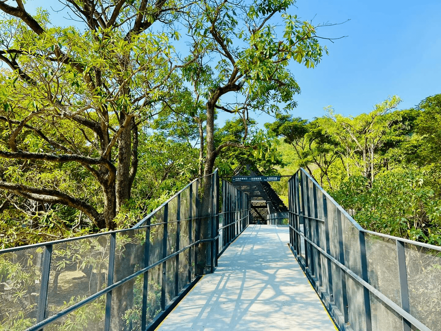 漫步空常長廊感受林蔭之美